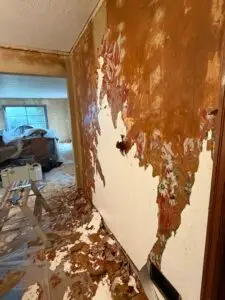 Removing wallpaper portland oregon with water